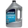 QUICKSILVER Premium SAE 25W-40 4-Stroke Marine Engine Oil, Gallon